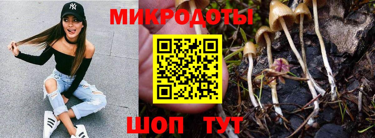 Псилоцибиновые грибы MAGIC MUSHROOMS Нарткала